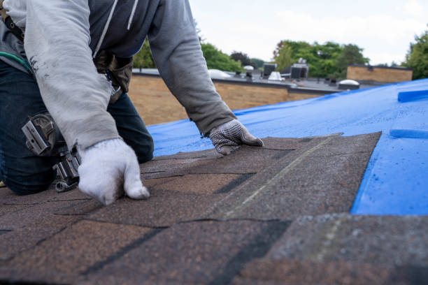 Best Local Roofing Companies  in Merrionette Park, IL