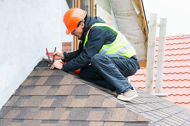 Best Roof Gutter Cleaning  in Merrionette Park, IL